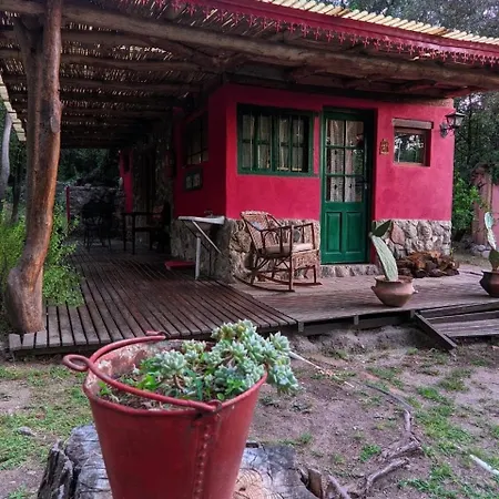 Cabañas spa el petrel-2
